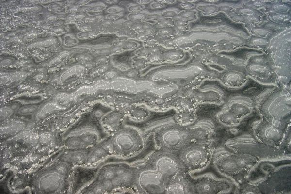 New Meadows River Ice