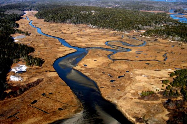 Phippsburg Marsh, Morse Mt.