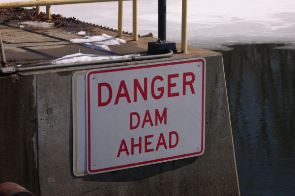 As if fish could read